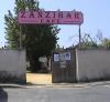 zanzi001-1.jpg